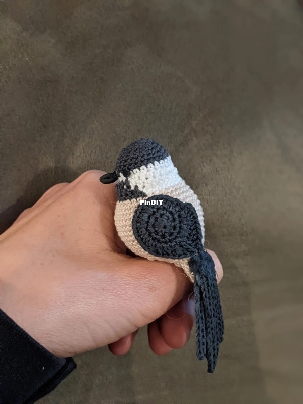 Black Cap Chickadee