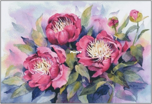 Н 377 - Акварельные пионы.jpg