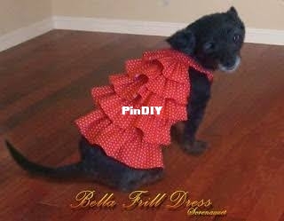 images (36).jpeg