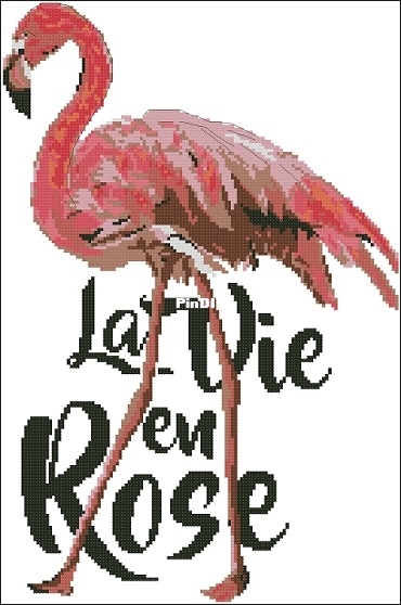 Isabelle Haccourt Vautier BDN 62 Flamingo Rose XSD.jpg