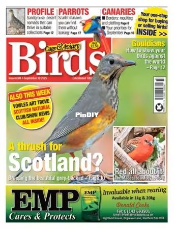Cage & Aviary Birds -  September 2025.jpg