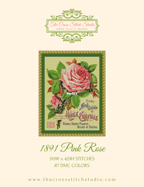 1891 Pink Rose.png