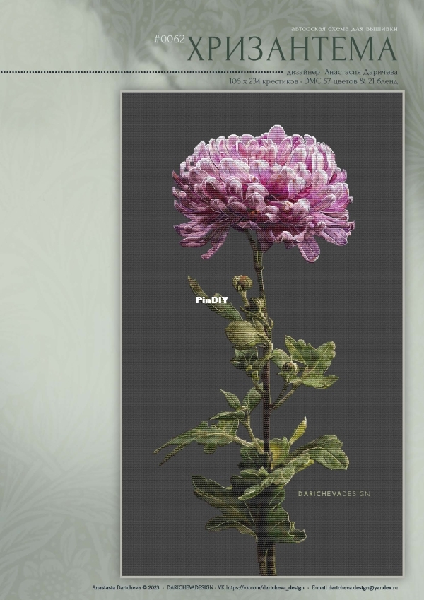 0062 Chrysanthemum .jpg