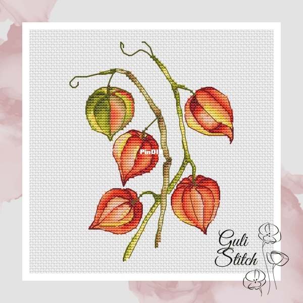 Physalis.jpg