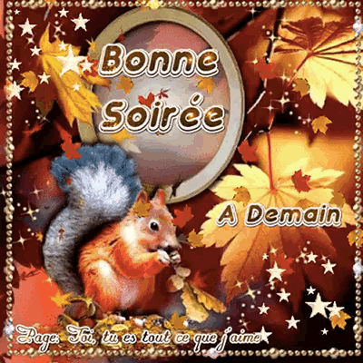 bonne-soiree_183.gif