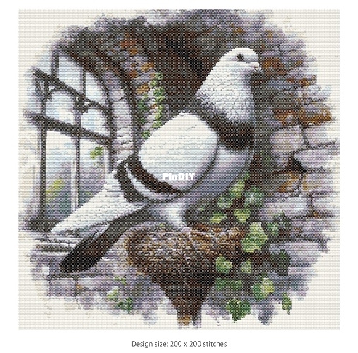 pic small.jpg