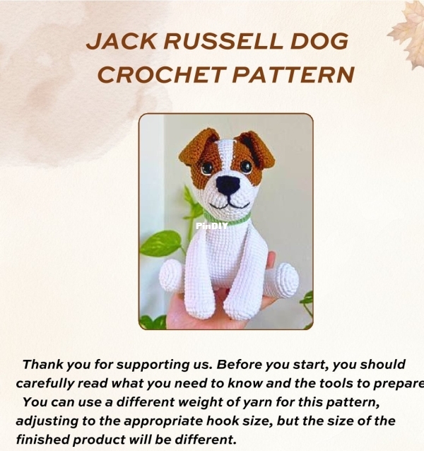 NGuyen Thuha - jack russel dog.jpg