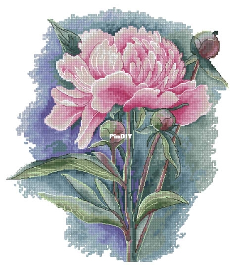 Peony magic pm.jpg