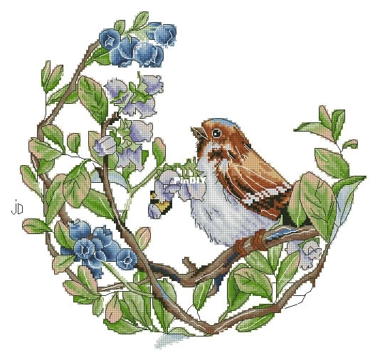 Blueberries pm.jpg