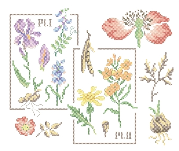 024. A chaque page, une pétale.jpg