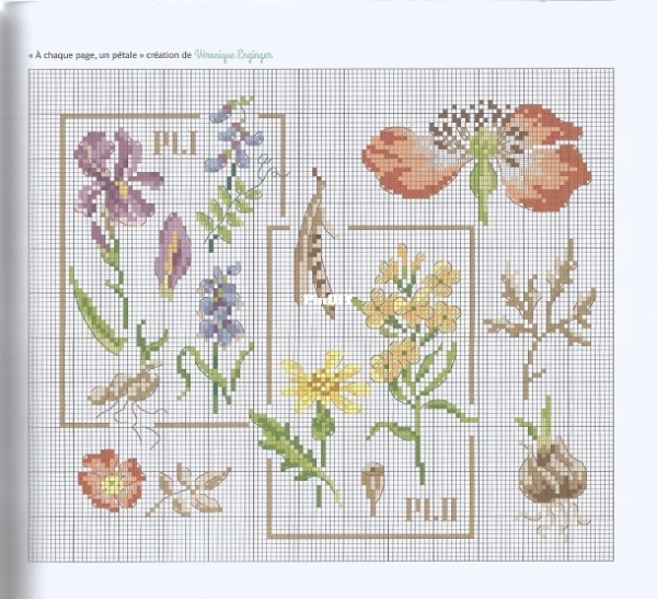 024. A chaque page, une pétale .jpg