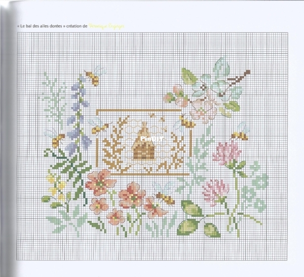 042. Le bal des ailes dorées .jpg