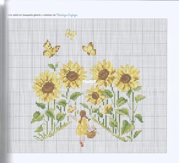 048. Le soleil en bouquets géants .jpg