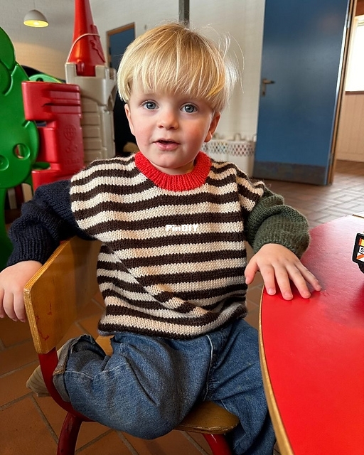 holger_sweater_legetj5_medium2.jpg