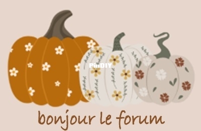 Capture d’écran 2025-09-24 182515.jpg