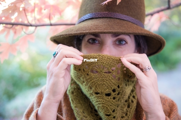 Solite_Cowl.jpg