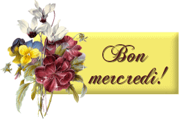 gif-bon-mercredi-11.gif