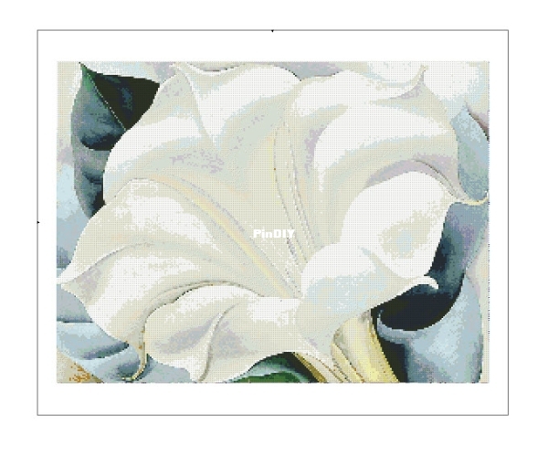 CSC OK-32 - White Trumpet Flower - Georgia O'Keeffe.jpg