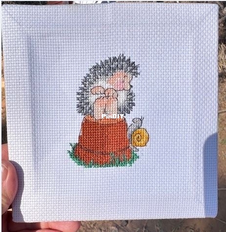 HedgehogSnail.jpg