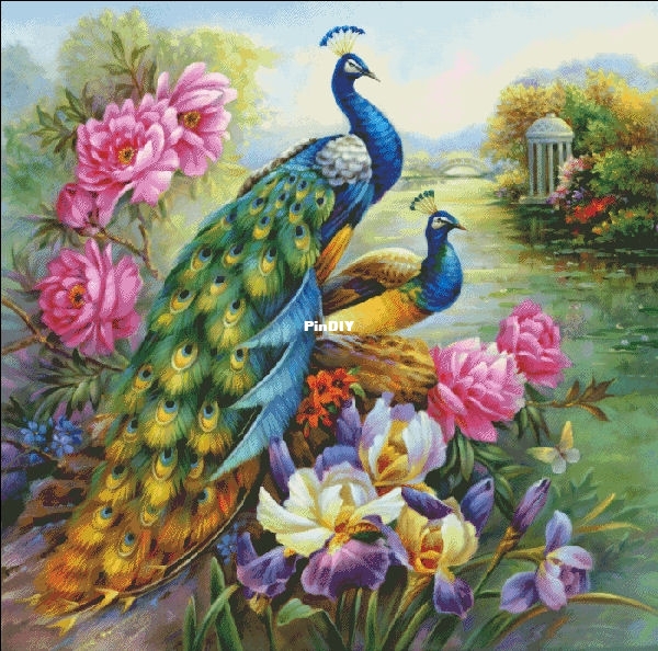 Sunny Birds_1.jpg