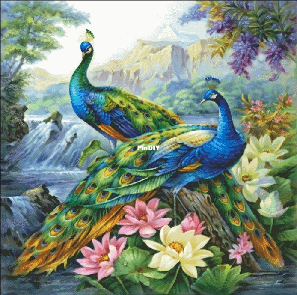 2 Dancing Peacocks_1.jpg