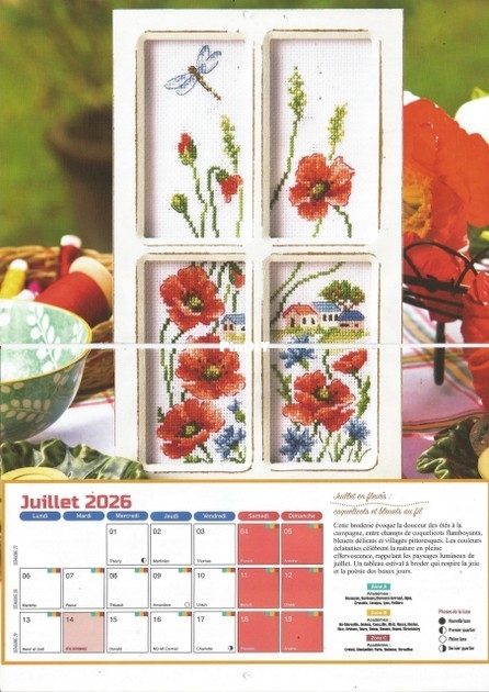 07. Juillet en fleurs, coquelicots et bleuets au fil .jpg