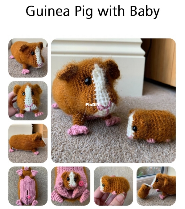 1000060587.jpg