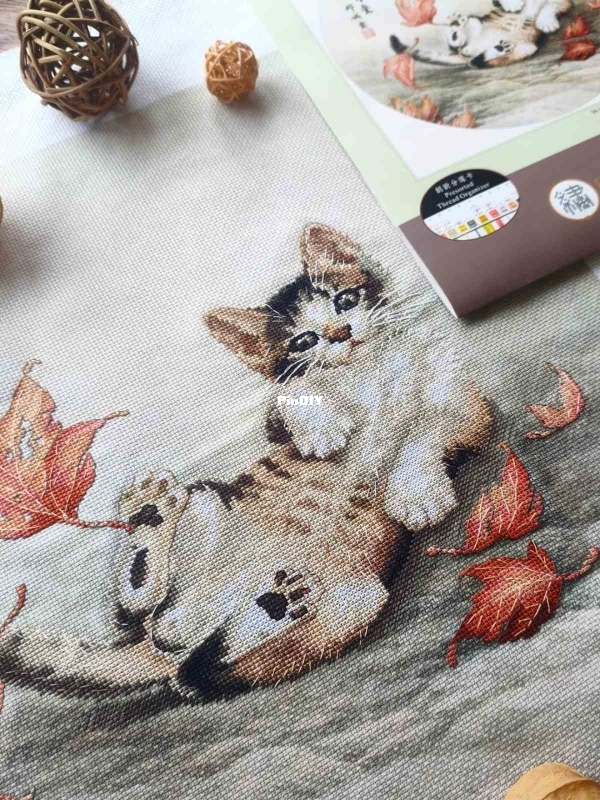 изображение_viber_2025-10-15_09-59-49-600.jpg