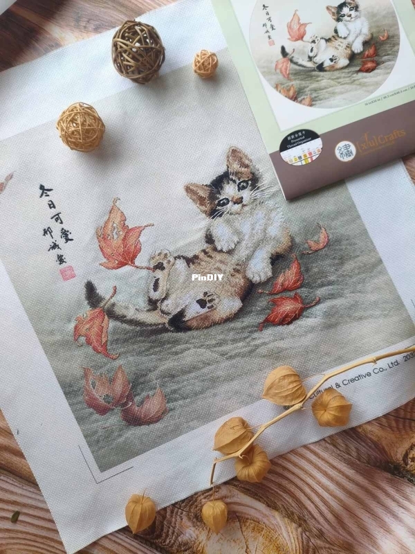 изображение_viber_2025-10-15_09-59-49-484.jpg