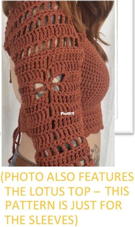 Dragonfly Sleeves image.jpg