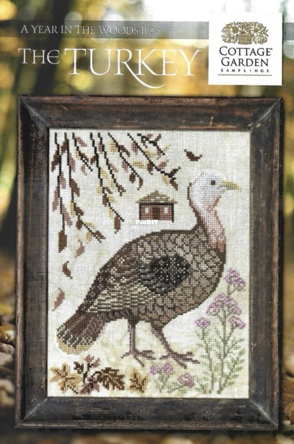 A Year in the Woods ll #5 - The Turkey.jpg