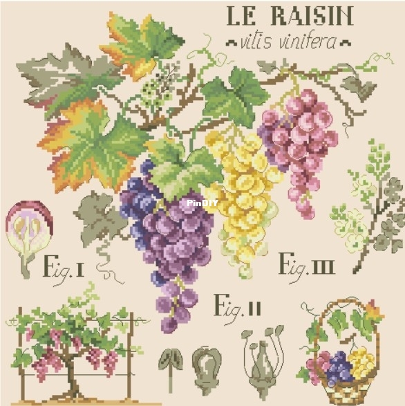 LBP_Etude_aux_Raisins_by_Veronique_Enginger.jpg