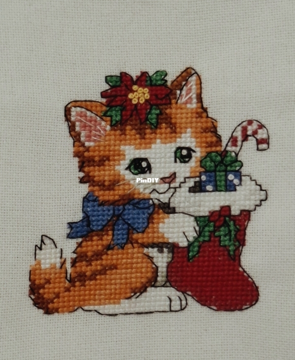 Cat 3