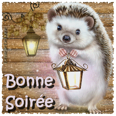 image_0946180_20211103_ob_68321d_gif-anime-bonne-soiree-avec-mignon-p.gif