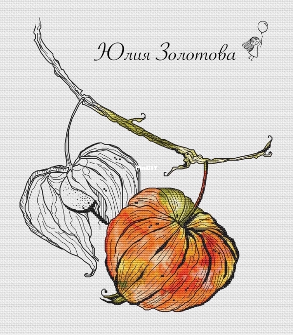 Веточки физалиса.jpg