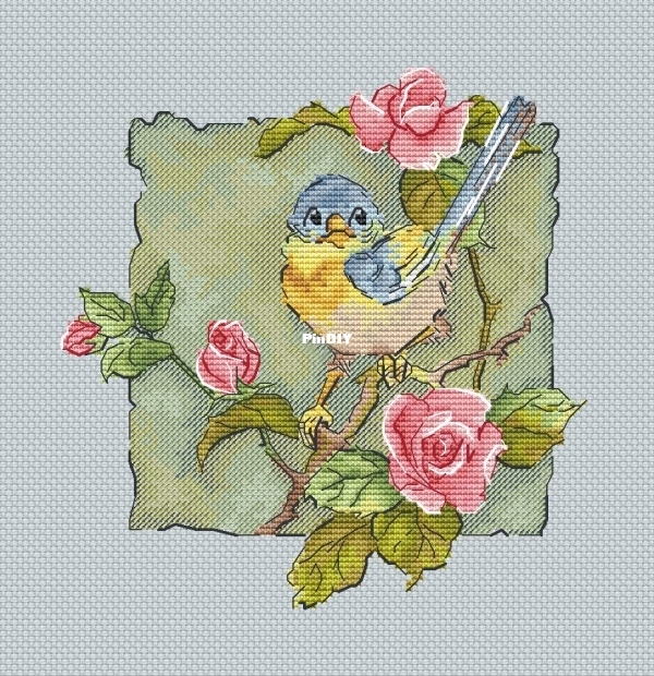 Birdie by Olga Lankevich.jpg