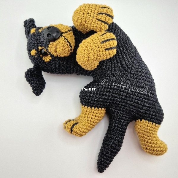 puppy rottie 2.jpg