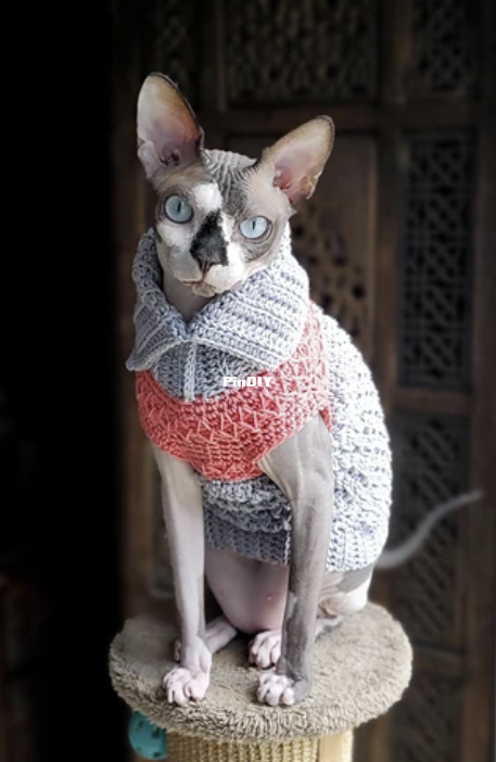 Screenshot 2025-11-01 085821.png