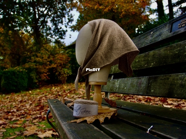 Fog and Fungi Marron2.jpg