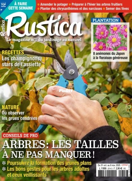 Rustica-31-Octobre-2025.jpg