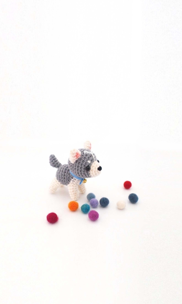 IsoDreams - Siberian Husky.jpg