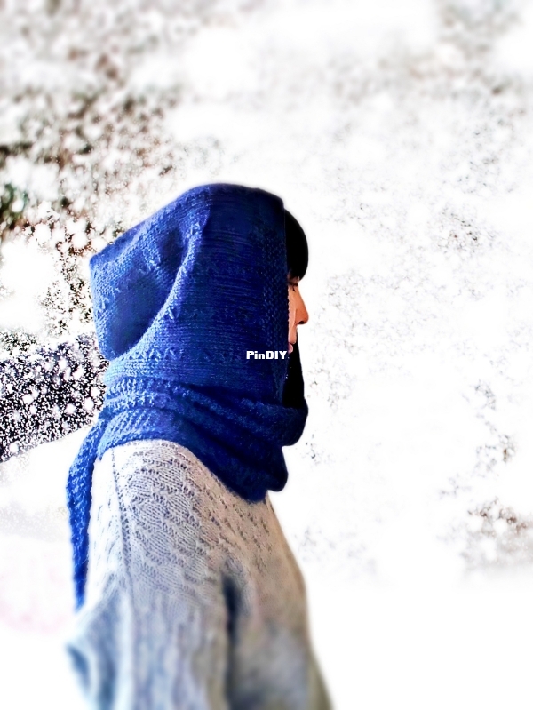 Hakuba Hooded Añil1.jpg