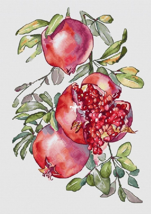 Watercolor garnet by Julia Zolotova.jpg