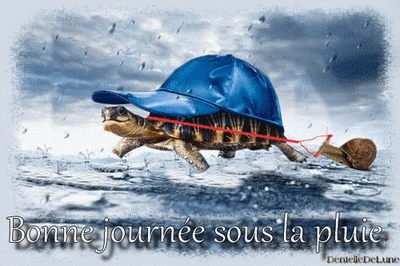image_0946180_20210217_ob_2aa063_gif-anime-bonne-journee-sous-la-plui.gif