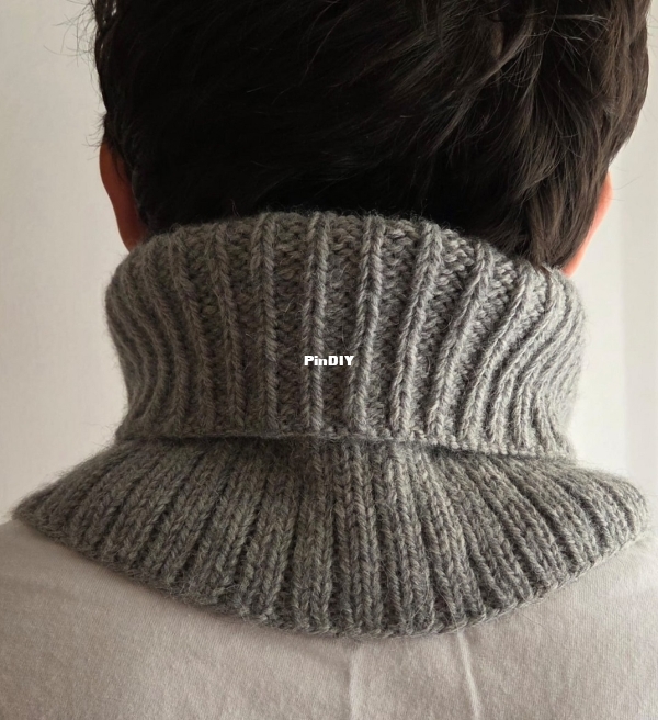 Reversible Gris1.jpg