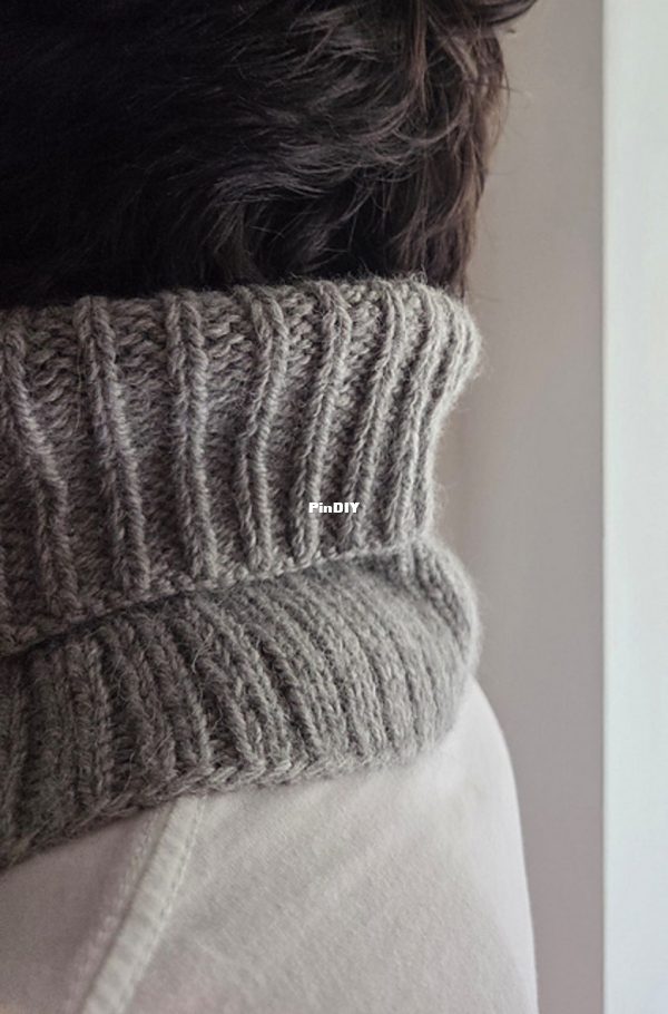 Reversible Gris2.jpg