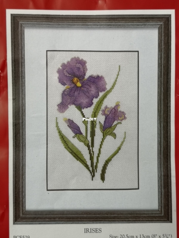 Anchor PCE529 Irises_1.jpeg