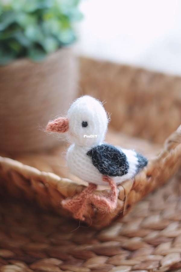 Little seagull