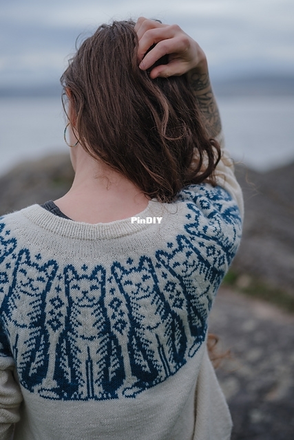 2024-09-23_CatKnit_Sweater-38_medium2.jpg