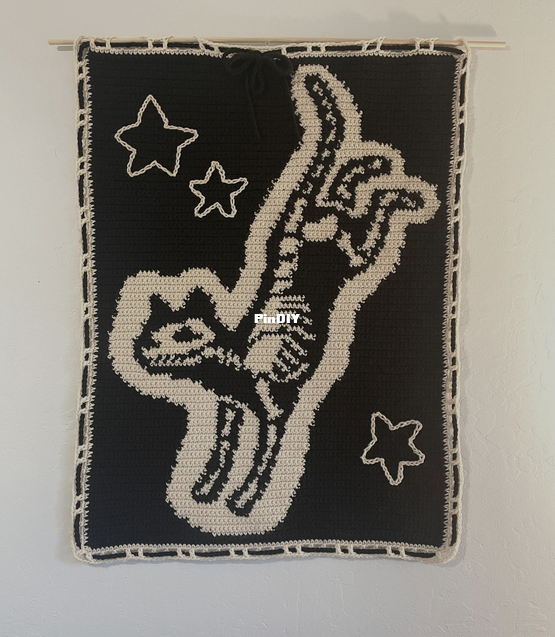 X-Ray Kitty Crochet Tapestry Pic.png